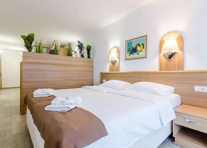 Paradiso 2 دوبروفينك